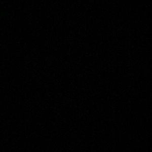 Meet your Posher, Stella